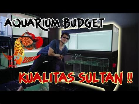 Ukuran Aquarium Panduan Memilih Habitat Ikan Yang Ideal