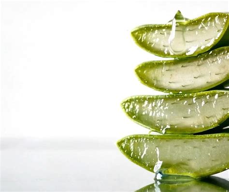 What Are The Benefits Of Using Aloe Vera Gel For Skin And Hair Artofit