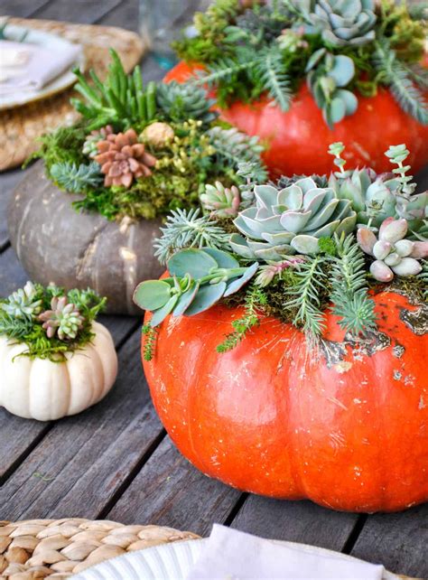 Succulent Pumpkin Centerpiece Tutorial California Grown