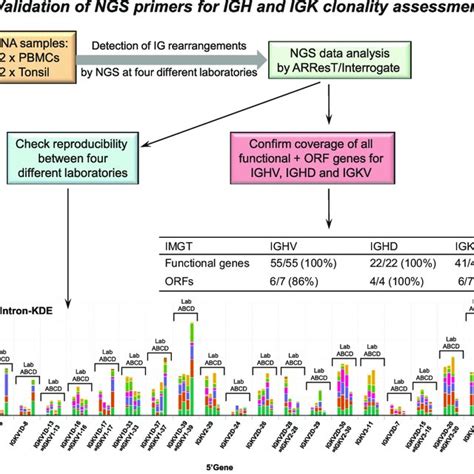 Sensitivity Of Next Generation Sequencing Ngs Based Clonality