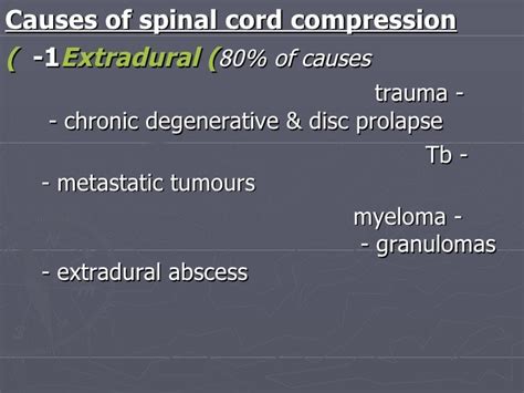 Paraparesis