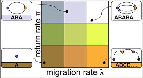 Figure 2 From A Mobility Model For Return And Repeated Migration Based On Network Motifs