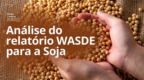 Analise RelatÓrio De Oferta E Demanda Wasde Para A Soja Corte 1ª