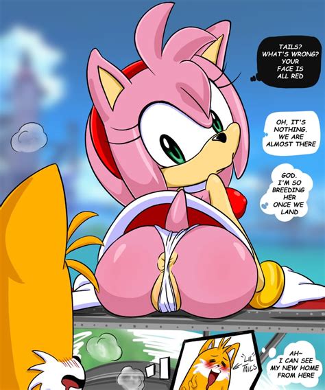 Rule 34 Amy Rose Anthro Anus Canid Canine Clothing Eulipotyphlan