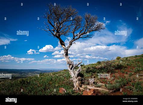 Capulin Volcano National Park Monument Stock Photo Alamy