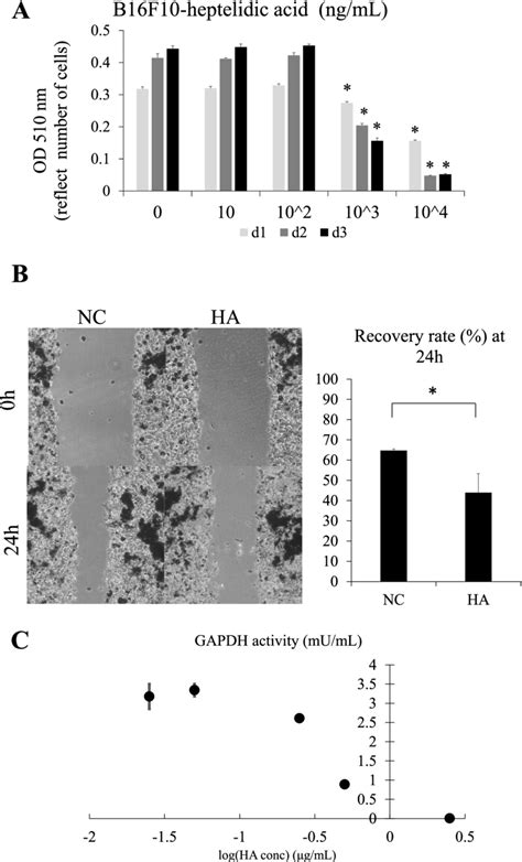 Heptelidic Acid Ha Exerts An Antiproliferative Effect Via Inhibiting