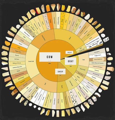 Cheeselovers Will Delight In This Wondrous Giant Cheese Chart