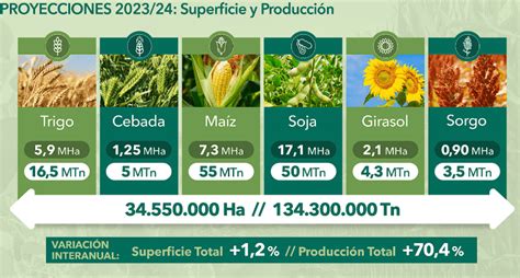 A Cruzar Los Dedos Anticipan Un Notable Aumento De La Producción Sojera Y Maicera