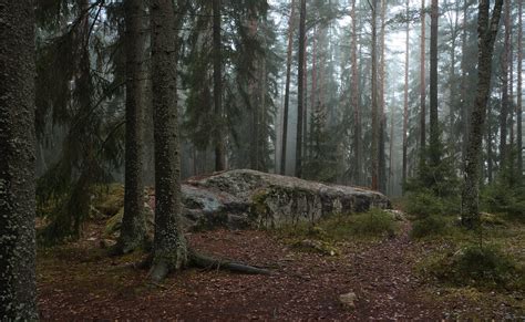 Blåbärkärrsbergen Ylästö Matti Viskari Flickr