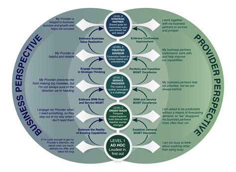 Business Relationship Management Brm Maturity Model Relationship