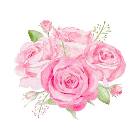 Premium Vector Watercolor Pink Rose Flowers Bouquet For Valentines