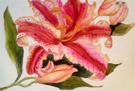 Lily By Debbie Ahmari Painting Watercolor Art