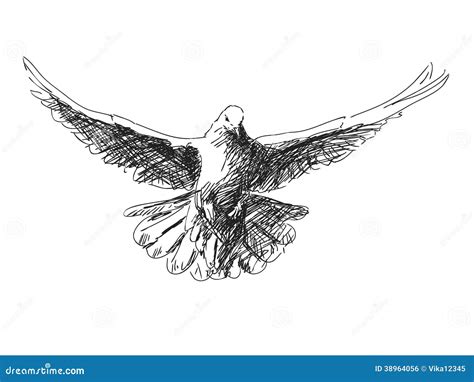 Pigeon Flying Stock Vector Image