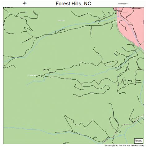 Forest Hills North Carolina Street Map 3724170