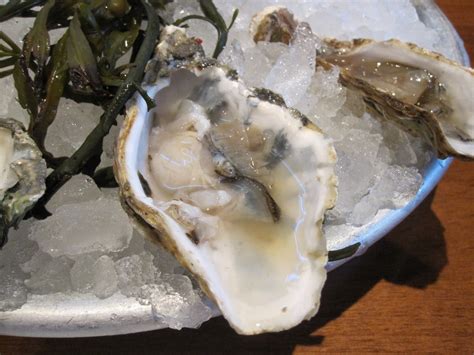 Cannundrums Raw Oysters