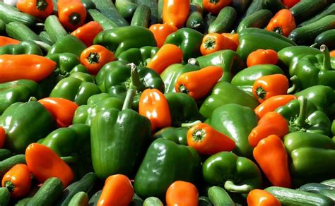 Hay Una Forma Muy Sencilla De Plantar Pimientos En Maceta