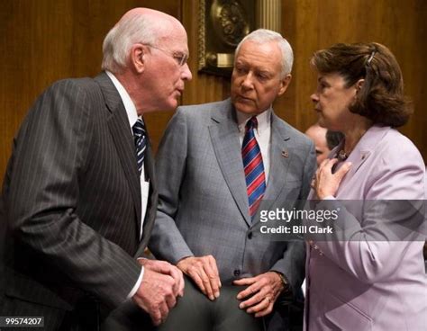 546 Matthew Feinstein Stock Photos High Res Pictures And Images