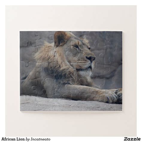 African Lion Jigsaw Puzzle Make Your Own Puzzle Postcard Invitation