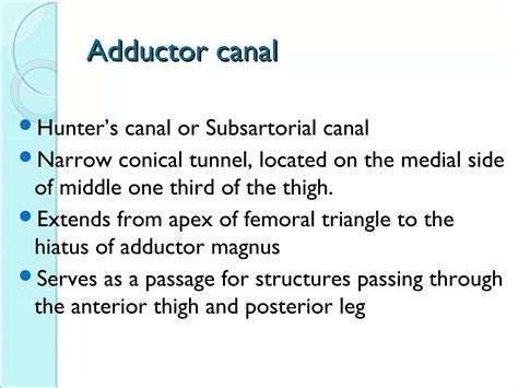 Applied Anatomy Of Adductor Canal And Popliteal Fossa Ppt