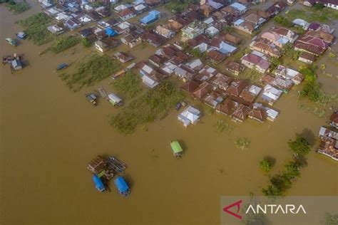 Ribuan Rumah Terendam Banjir Luapan Sungai Batanghari Antara News