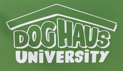 Dog Haus University Gator Kennels Custom Dog Kennels