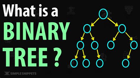 Introduction To Binary Tree Data Structure Properties Variants