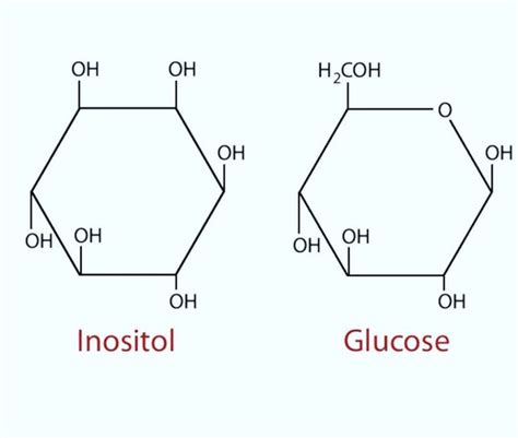 Inositol and Glucose | Cell membrane, Molecules, Glucose