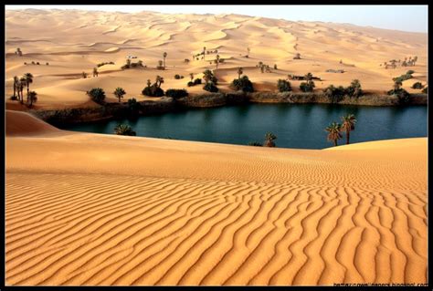 Desert Oasis Facts Related Keywords Suggestions Desert - Oasis Of Sahara Desert - 1119x755 ...