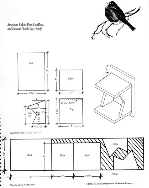 Luxury Robin Bird House Plans - New Home Plans Design