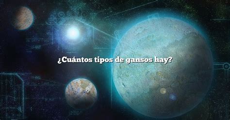 ¿cuántos Tipos De Gansos Hay Diffusonslascience