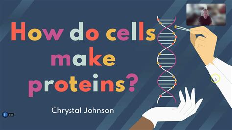 Lecture 8 Part 1 How Do Cells Make Proteins