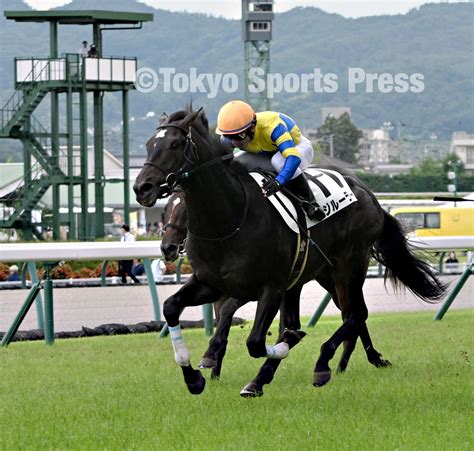 東スポ 写真部 On Twitter 2023年7月16日 競馬 レース 2r 2歳未勝利 1着11番・ ロジルーラー（ 戸崎圭太 騎手） 福島県福島市・福島競馬場 ルーラーシップ