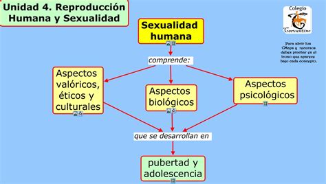 4 1 Sexualidad Humana