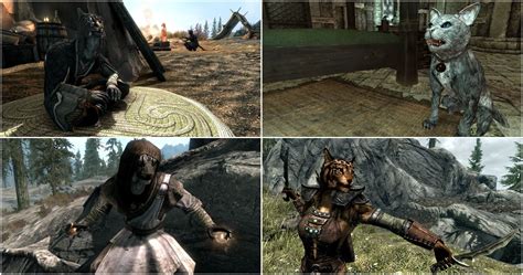 The Elder Scrolls 10 Things You Didn T Know About The Enigmatic Khajiit