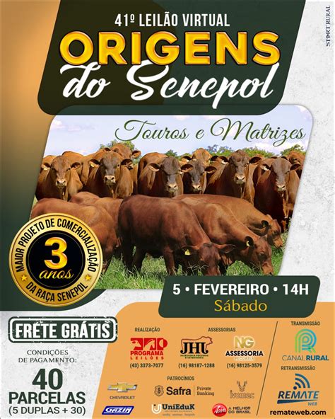 Remate Web 41 Leilão Virtual Origens do Senepol Touros e Matrizes