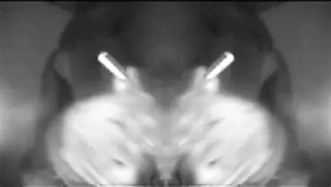 Gay Sissy Urethral Sounding Toy In Pantyhose Nylon Dildo Xhamster