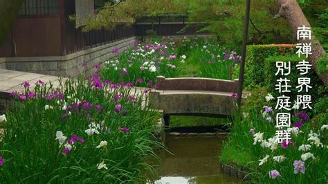 【京都の路「南禅寺界隈別荘庭園群」】心落ち着くｵｽｽﾒの路｜閑静な別荘エリア「花菖蒲」 Youtube