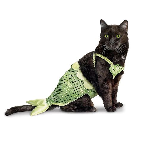 русалка????или в мечтах о рыбе... Chat Halloween, Mermaid Halloween ...