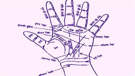 Palmistry अशी हस्तरेषा असलेले लोक पैसे कमवून आपल्या देशात परततात Palmistry Such People