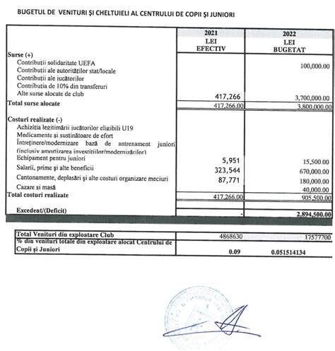 Bugetul De Venituri I Cheltuieli Al Centrului De Copii I Juniori