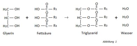 Struktur Und Funktion Von Lipiden