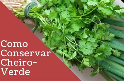 Como Conservar Cheiro Verde