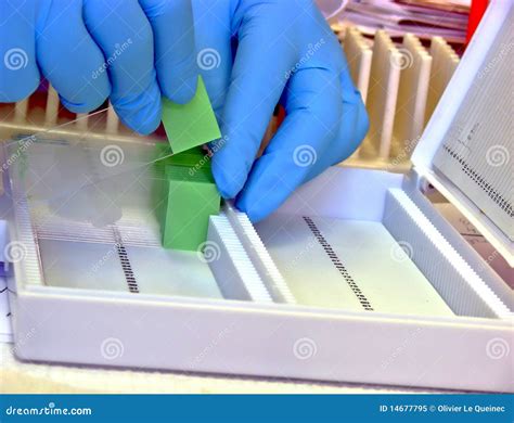 Laboratory Equipment In Science Research Lab Royalty Free Stock Photo ...