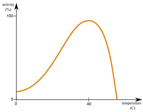 Temperature Enzyme Activity Graph