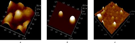 Afm Image Of Curcumin Loaded Phb Nanoparticles Prepared Without