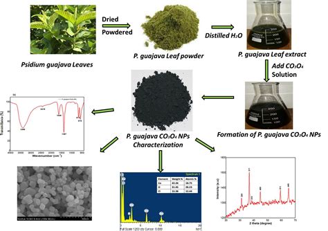 Molecules Free Full Text Green Synthesis And Characterization Of