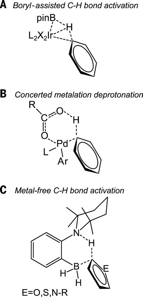 Metal Free Catalytic C H Bond Activation And Borylation Of Heteroarenes