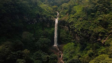 Review Menarik Air Terjun Coban Rondo Wisata Alam Yang Melegenda Di