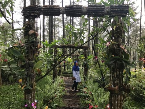 Wisata Alam Hutan Anggrek Orchid Forest Cikole Lembang Jalan Bareng Arif