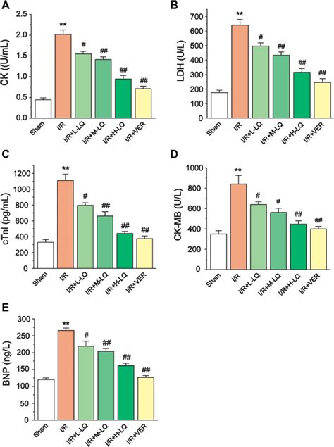 Effects Of Lq On Myocardial Markers A Ck B Ldh C Ctni D